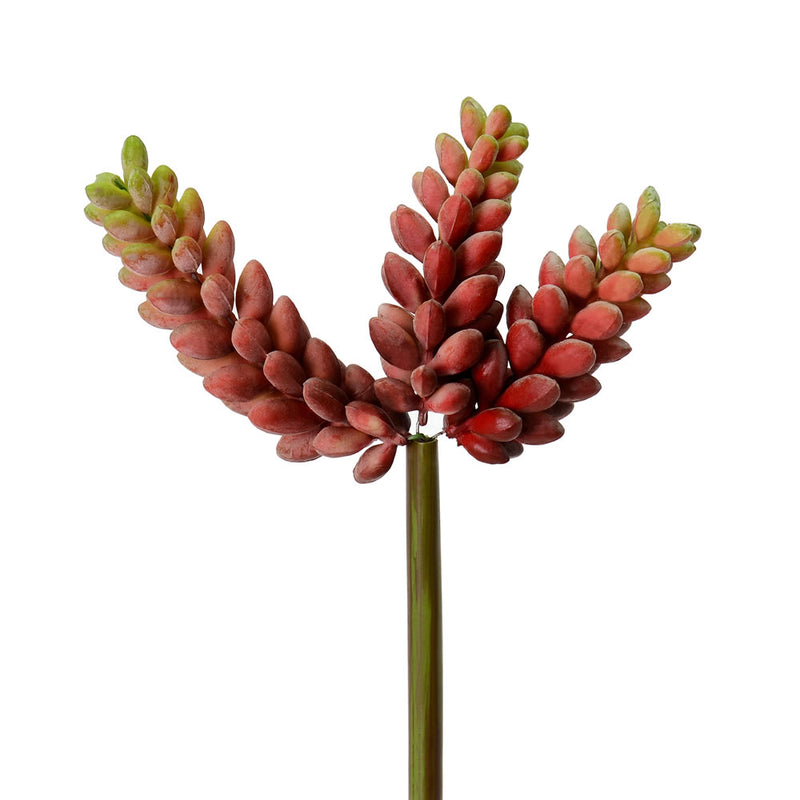 6" Red Jelly Bean Pick 3/Pk