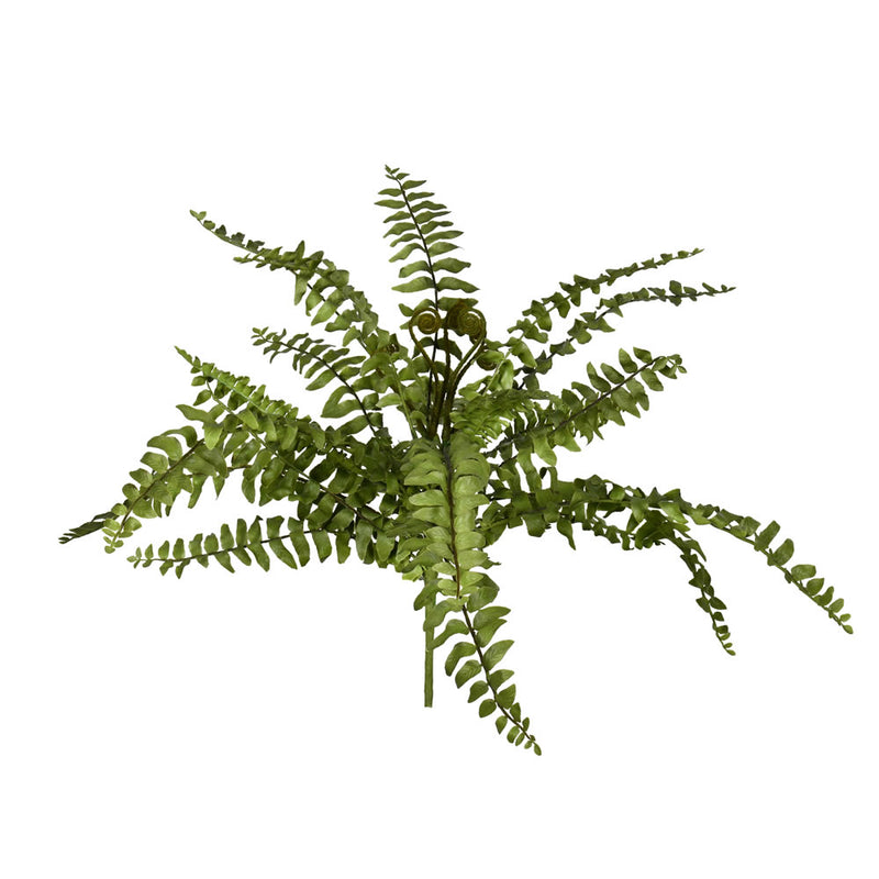 17" Green Boston Fern Bush
