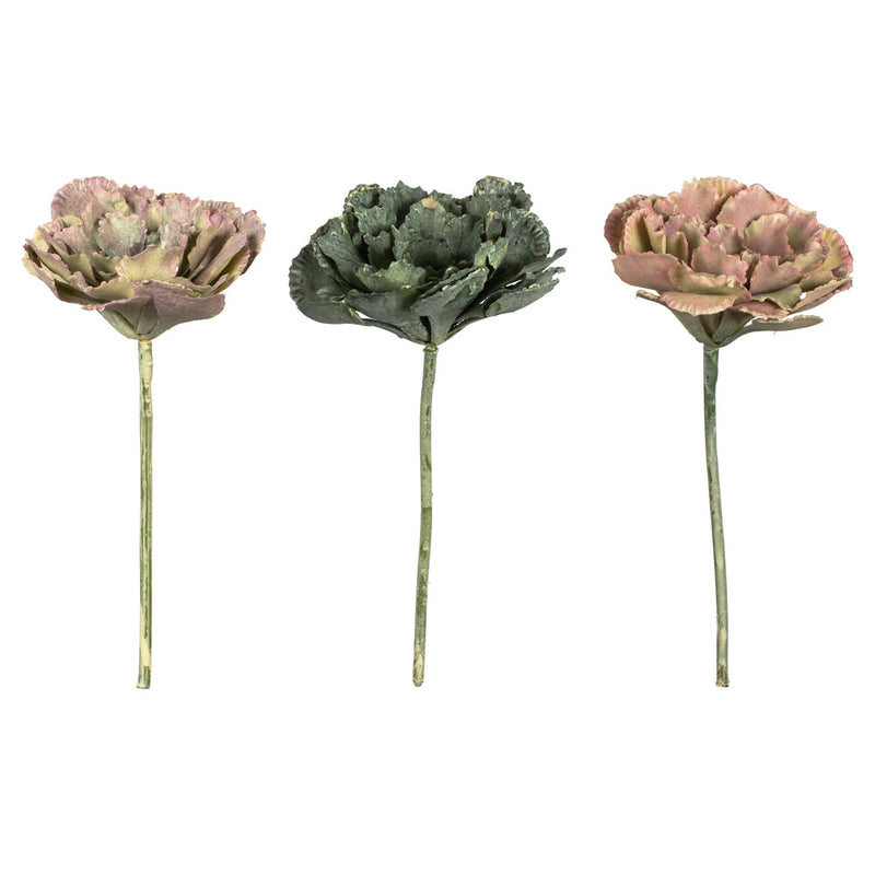 7.5" Rust Green Eichornia Succulent 6/Pk