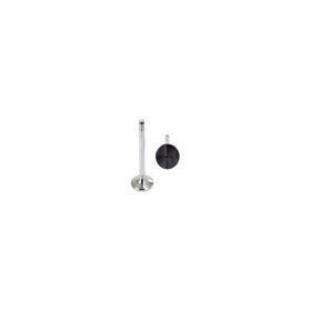 TRW 1030501727 Exhaust Valve