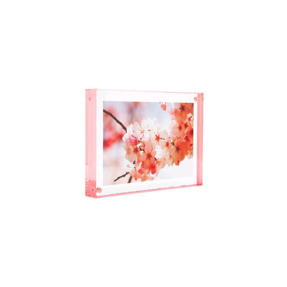 Color Edge Magnet Frame by Canetti-Pastel Rose 4x6 inch