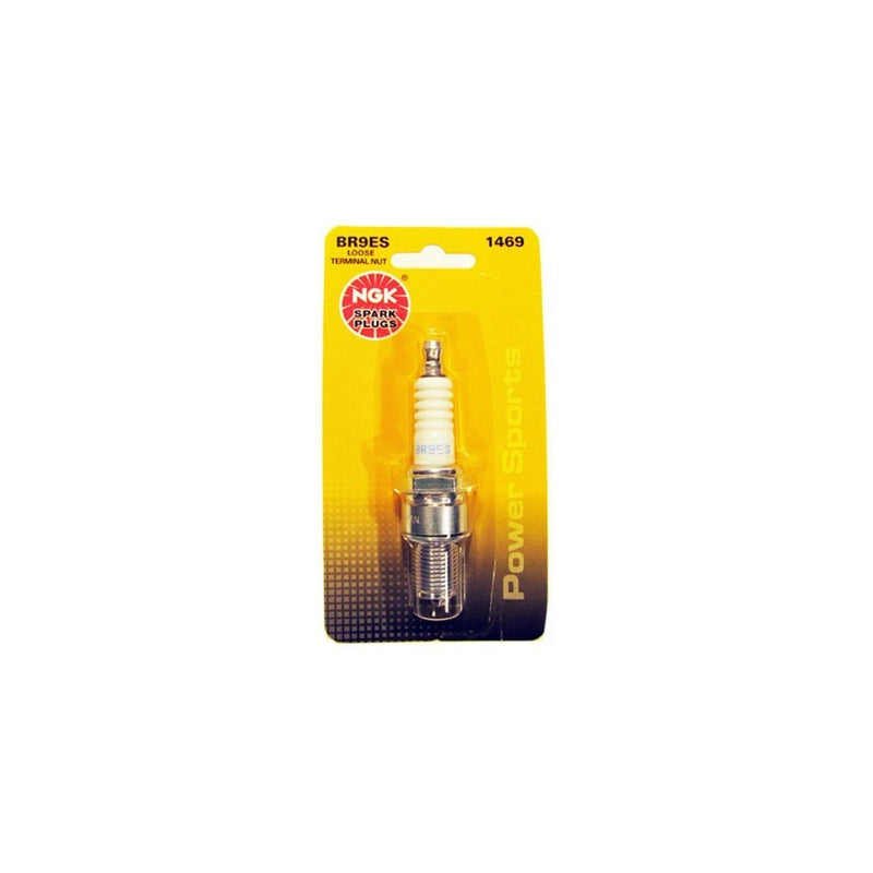 NGK (BR9ES BLYB) Traditional Spark Plug