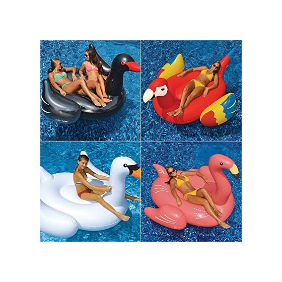 Swimline Giant White Swan/Flamingo/Black Swan/Parrot Floats for Swimming Pools (4 Pack)