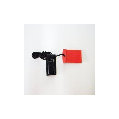 Icon Treadmill Key Part Number 119038