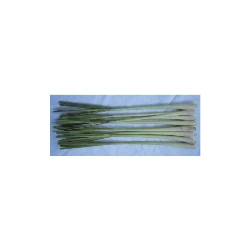 Thai Fresh Lemongrass - 8 stalks