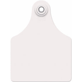 ALLFLEX USA GXF/GSMW 319281 Ear Tag, Blank, White, Maxi