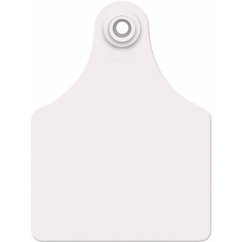 ALLFLEX USA GXF/GSMW 319281 Ear Tag, Blank, White, Maxi