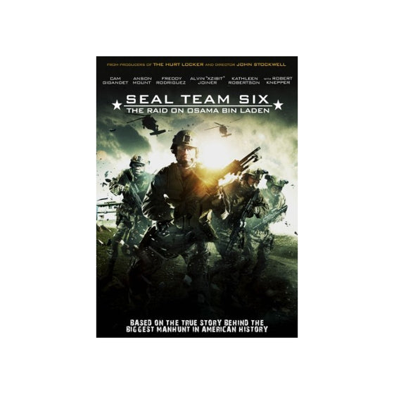 Seal Team Six: The Raid On Osama Bin Laden
