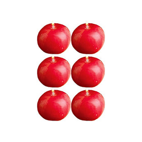 Biedermann Small Honey Crisp Apple Candle, Box of 6