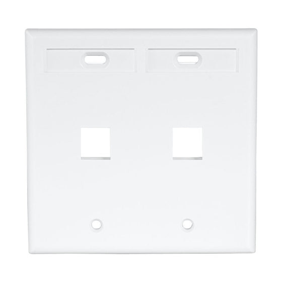 Leviton 42080-2WP Quickport 2-Port Wallplate ID Window