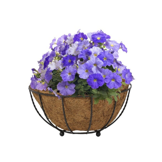 CobraCo Black Canterbury Floor Planter FLPLCB-B