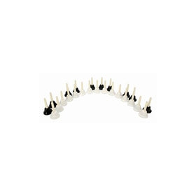 Kidsplay Chromatic 25-note Two Octave Handbell Set