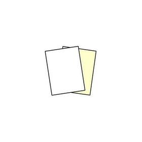 250 Sets, NCR Paper, 5887, Collated 2 Part (White, Canary), Letter Size Carbonless Paper Appleton