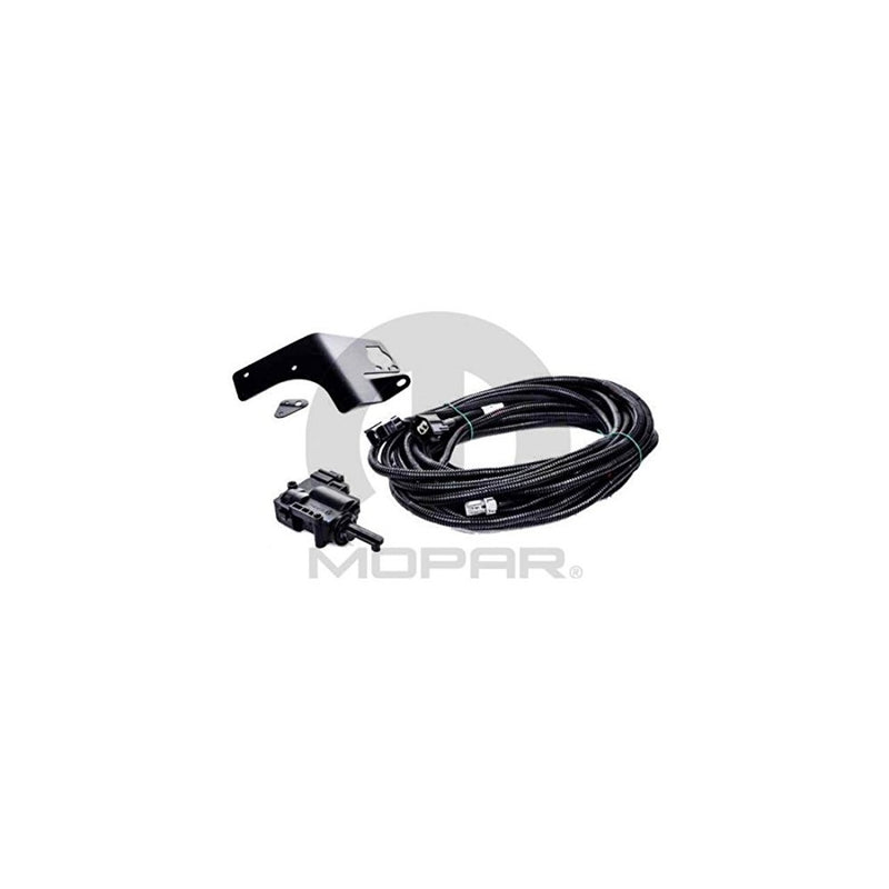 Dodge Ram 2009-2012 1500 Remote Tailgate Lock Unlock, Mopar OEM