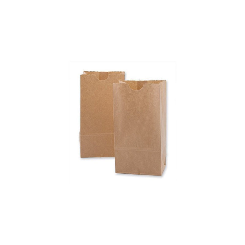 Mini Kraft Paper Bags 100 per pack