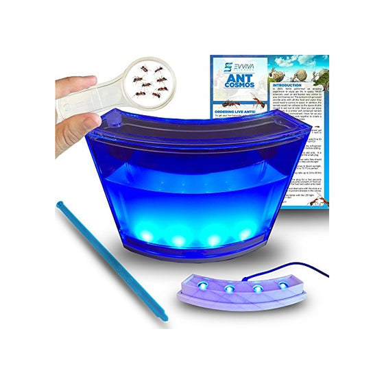 Ant Farm W/ LED Light. Enjoy A Magnificent Ecosystem. Great For Kids & Adults. The Best Ant Habitat W/ Enhanced Blue Gel. Evviva Educational & Learning Science Kits. Live Harvester Ants Not Included