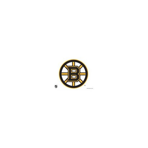 WinCraft NHL Boston Bruins Multi-Use Colored Decal, 5" x 6"
