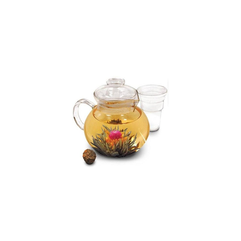 Primula Glass Stovetop Tea Pot with Infuser