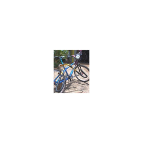 Carver Surfboard Bike Rack - Shortboard