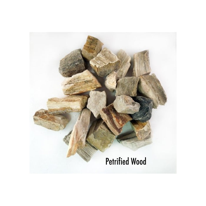 NEW Petrified Wood Chunks - Wholesale Minerals; By-the-Pound