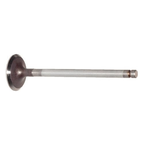 Auto 7 612-0076 Engine Intake Valve