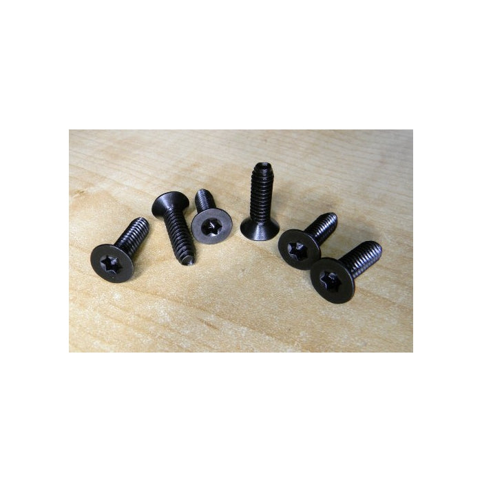 Jeep Wrangler Side View Mirror Torx Screw Kit