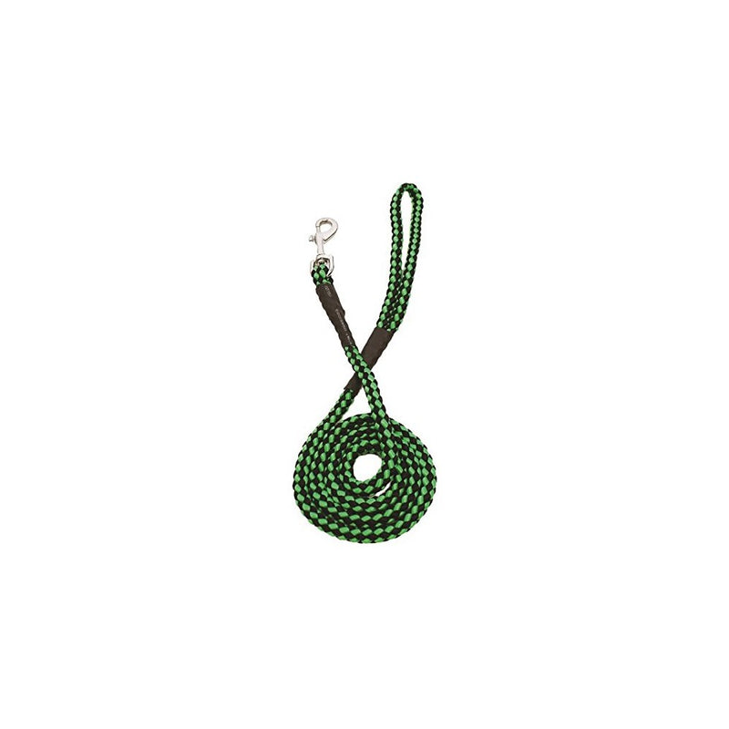 Pdq Dog Lead 10 Mm X 48 In. Nylon Braided Asstd Colors