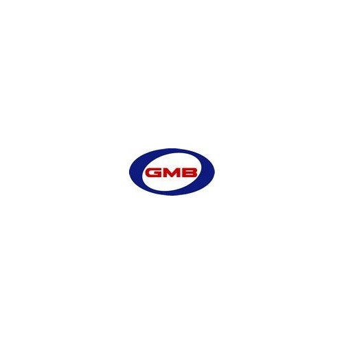 GMB 144-2060 OE Replacement Water Pump with Gasket
