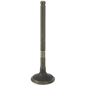 AE W0133-1747929-AE Engine Exhaust Valve