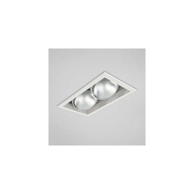 Eurofase TE132 2-Light PAR30 Multiple Recessed Light Fixture, White