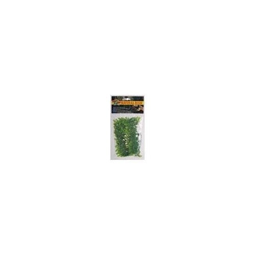 Zoo Med Laboratories SZMBU13 Natural Bushy Malaysian Fern, Small