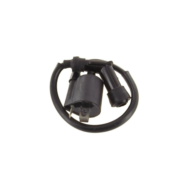 Ignition Coil Honda 1980-85 ATC185S 1982-83 ATC200 1984 ATC200ES ATC200S, Yamaha 1999-04 Bear Tracker 250 2003-11 Trail Boss 330 2000-09 TTR125 1987-04 YFM350 Warrior 1990-99 Big Bear 2004-09 Raptor