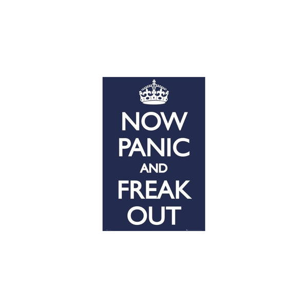 Now Panic and Freak Out Poster 24x36 UK England 33566 Poster Print, 24x36