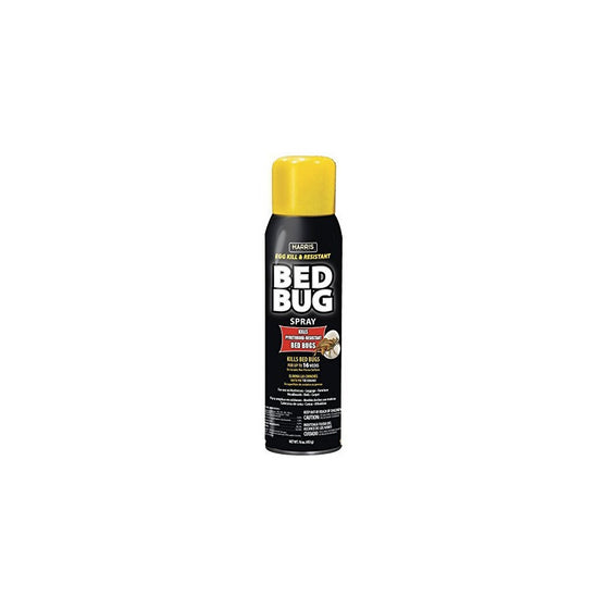 AEROSOL BEDBUG RESISTANT 16OZ