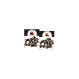 Tandy Leather 1/4" Black Chicago Screws 1290-04 -- TWO 10 Packs
