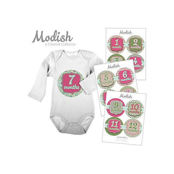 12 Monthly Baby Stickers, Pink & Green, Baby Girl, Baby Belly Stickers, Baby Month Stickers, First Year Stickers Months 1-12, Pink, Green, Girl