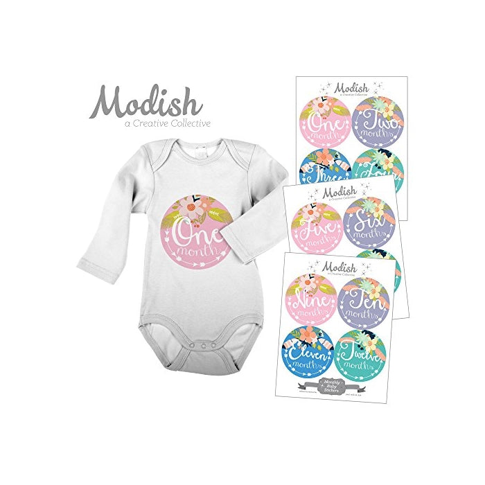 12 Monthly Baby Stickers, Tribal, Flowers, Feathers, Arrows, Girl, Baby Belly Stickers, Monthly Onesie Stickers, Baby Month Stickers, Arrows, Flowers, Tribal, Pink, Mint, Purple, Teal, Blue, Girl