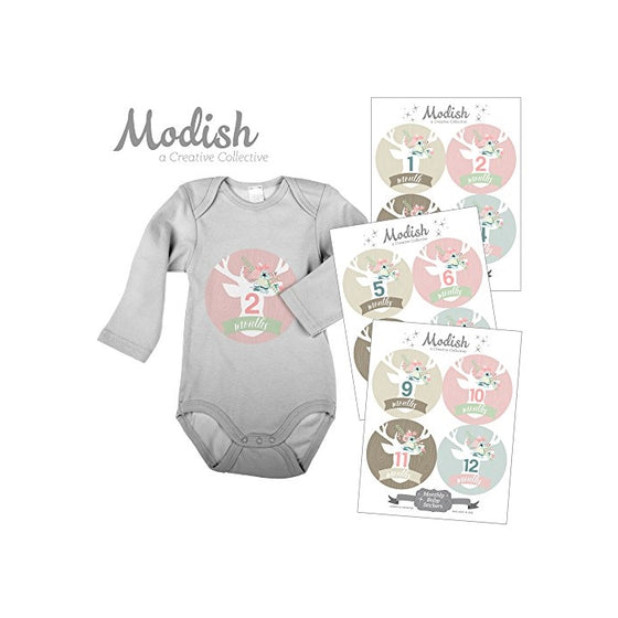 12 Monthly Baby Stickers, Floral Deer, Flower Antlers, Woodland Nursery Decor, Girl, Baby Month Stickers, Baby Month Stickers, First Year Stickers, Woodland Nursery Décor, Pink, Mint, Tan, Beige