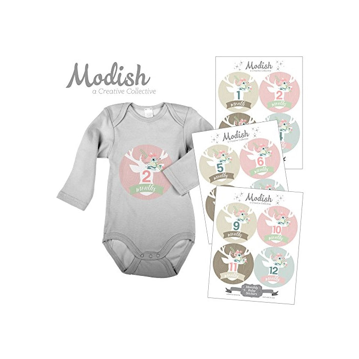 12 Monthly Baby Stickers, Floral Deer, Flower Antlers, Woodland Nursery Decor, Girl, Baby Month Stickers, Baby Month Stickers, First Year Stickers, Woodland Nursery Décor, Pink, Mint, Tan, Beige