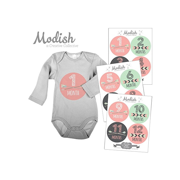 12 Monthly Baby Stickers, Pink, Mint, Girl, Baby Belly Stickers, Baby Month Stickers, First Year Stickers Months 1-12, Arrows, Chevron, Tribal, Baby Girl