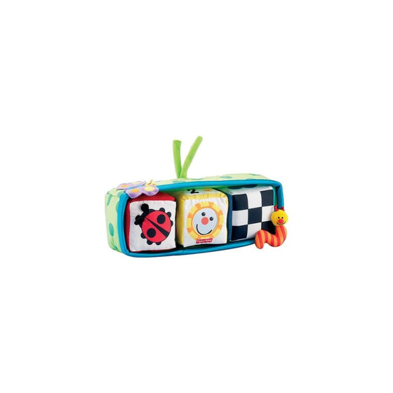Fisher-Price Miracles and Milestones - Mix and Match Blocks