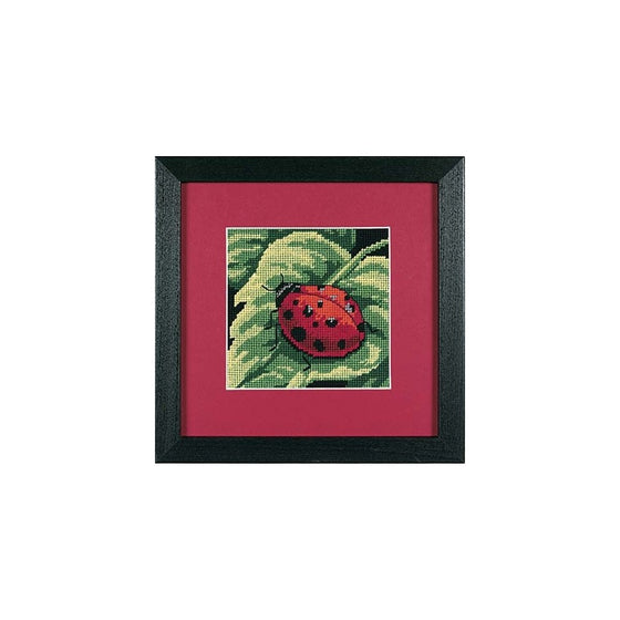 Dimensions Needlecrafts 7170 Needlepoint, Ladybug, Ladybug