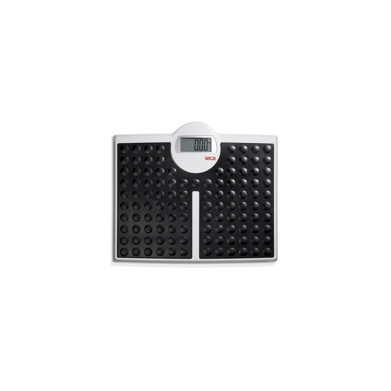 seca 813 High Capacity Digital Flat Scale for Individual Patient Use.