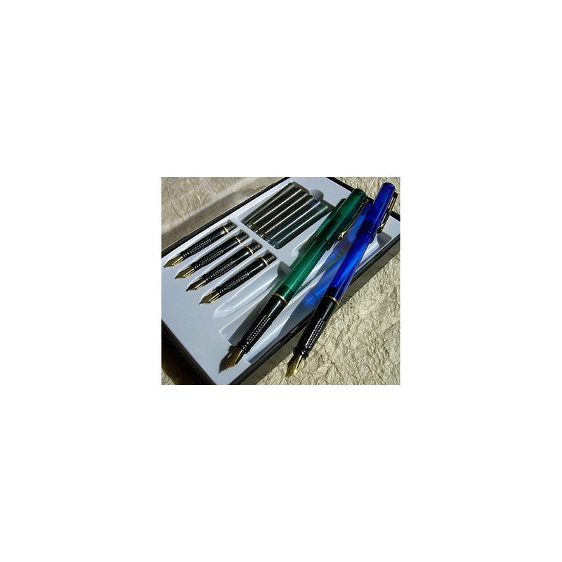 Deluxe 20 Pc Master Calligraphy Pen Set w/ Ink, Storage Case