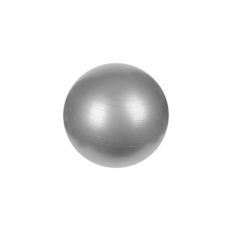 Sunny Health & Fitness Anti-Burst Gym Ball, 65 CM
