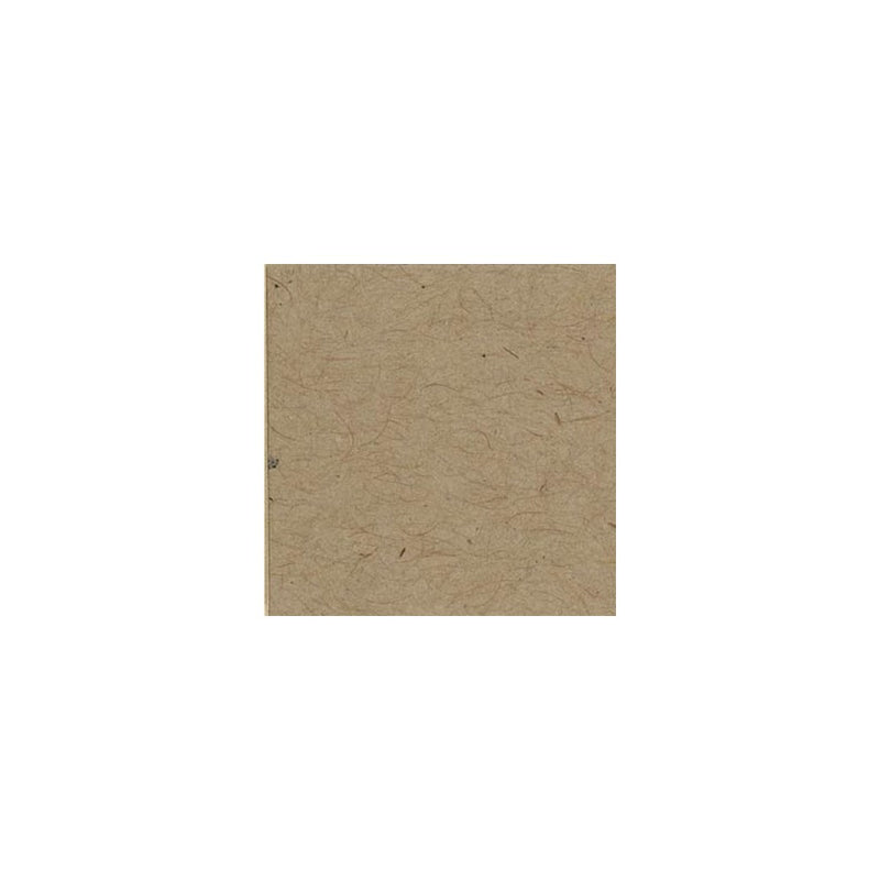 Crdsk 12 Inch X12 Inch Bazzill 25/PK-Kraft