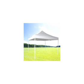 Zenport AGT3M Solar Guard Canopy, 10 by 10-Feet