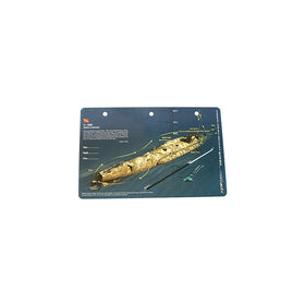 New Art to Media Underwater Waterproof 3D Dive Site Map - U352 off of North Carolina (8.5 x 5.5 Inches) (21.6 x 15cm)