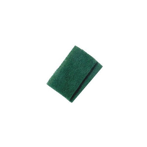 BIRDWELL CLEANING, Scouring Pad, EA