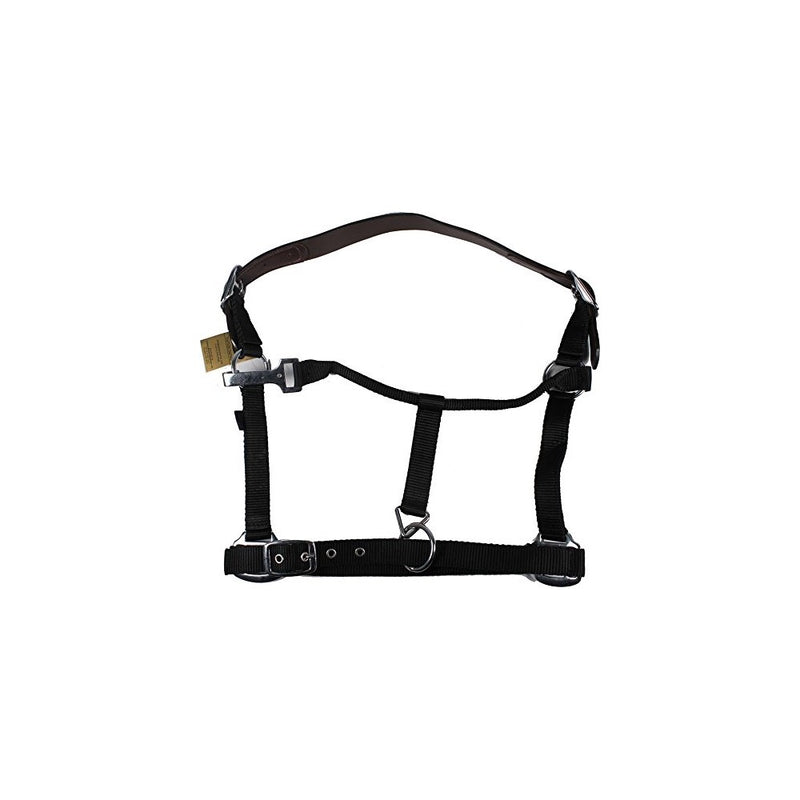 GATSBY LEATHER COMPANY 284041 Nylon Breakaway Halter Black, Cobb